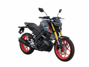 白牌車款｜YAMAHA MT15 V2｜輪胎城